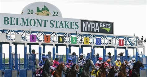 belmont stakes 2021 payouts  How much money did the Belmont Stakes 2021 winner get? The winning horse, Essential Quality and its jockey, Luis Saez are thought to have received £800,000 at least